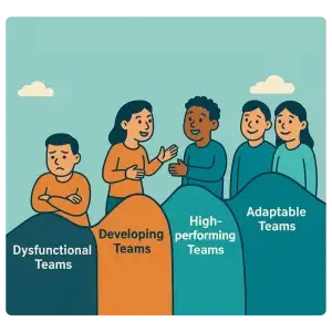 Team Maturity Levels