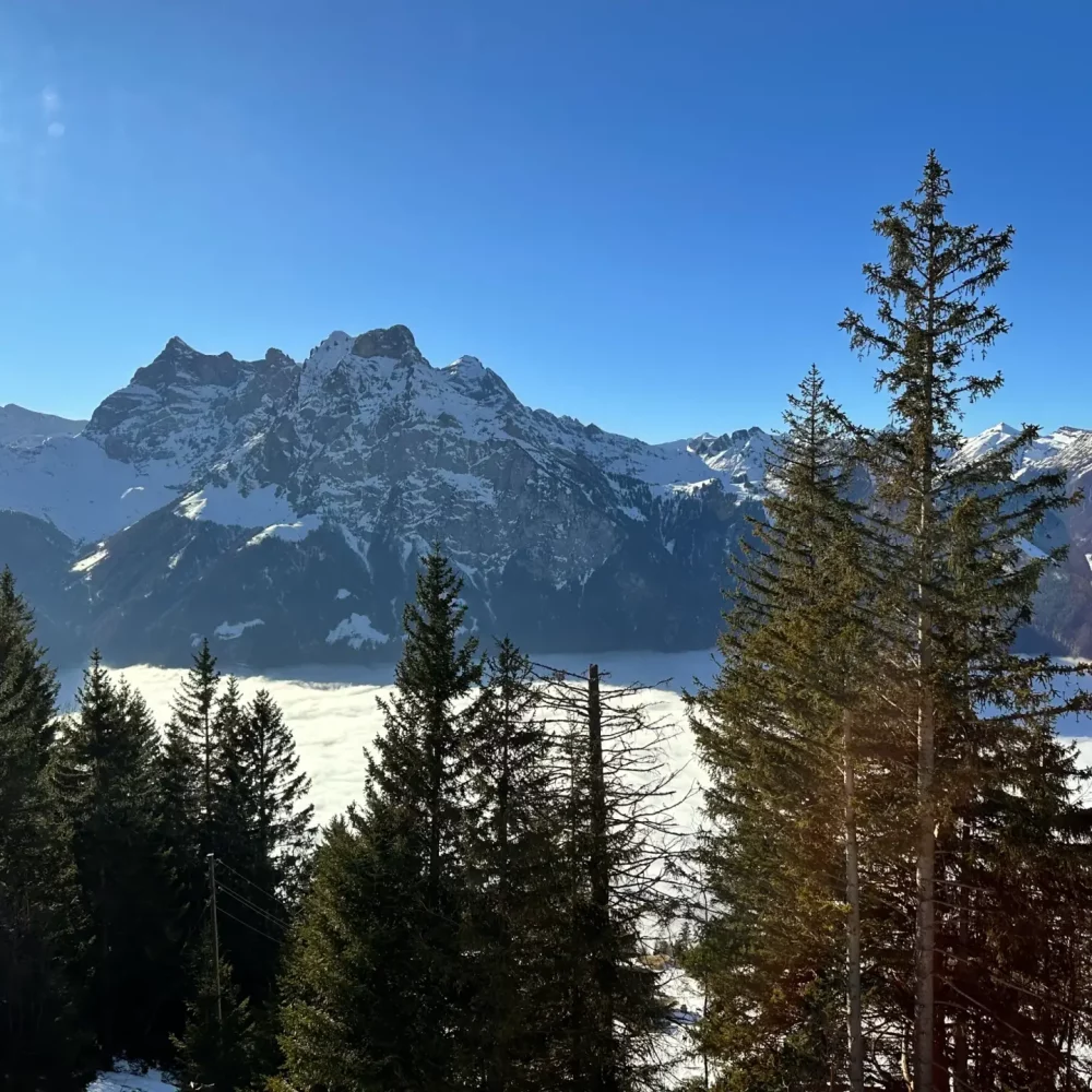 bergpanorama